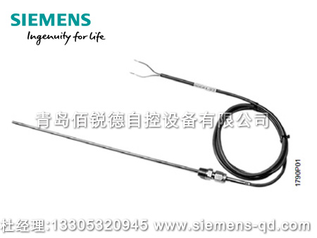西門子浸入式熱電阻溫度傳感器QAE26..系列